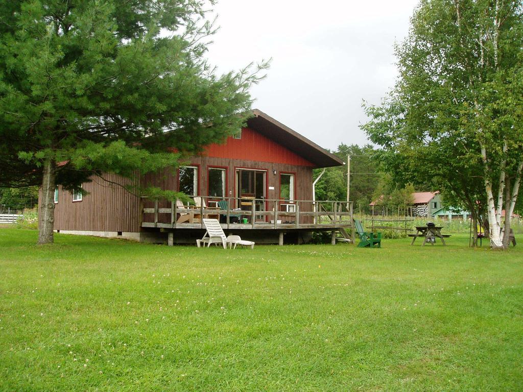 Bondi Village Cottage Resort Lake of Bays Kültér fotó