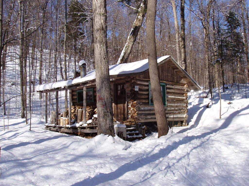 Bondi Village Cottage Resort Lake of Bays Kültér fotó